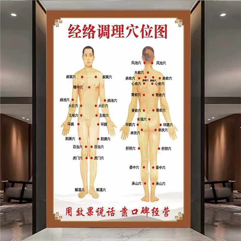 经络调理：从传统中寻找现代健康的秘钥